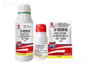 0.01%28-���|̦�؃�(n��i)��-�t�f��-�l(xi��ng)�弾�L(f��ng)-���˹����r(n��ng)��