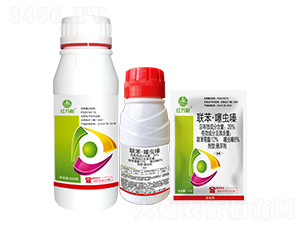 ​(li��n)�������x�����b-�t�f��-�l(xi��ng)�弾�L(f��ng)-���˹����r(n��ng)��