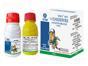 1+1���������݄����b-��O��-�t�f��-�l(xi��ng)�弾�L-���˹����r(n��ng)��