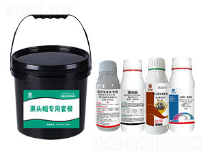 ���^�������ײ�-�t�f��-�l(xi��ng)�弾�L(f��ng)-���˹����r(n��ng)��