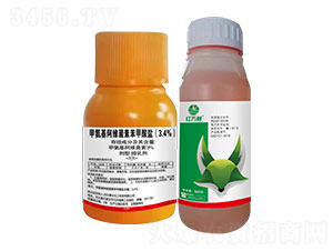 3.4%�װ������S���ر������}-�t�f��-�l(xi��ng)�弾�L(f��ng)-���˹����r(n��ng)��