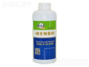 ΢�������-���R��--�а����r(n��ng)