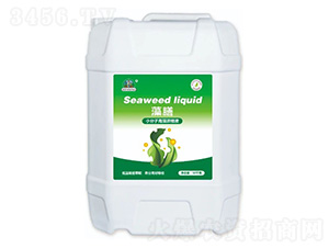 ����-�����r(n��ng)�I(y��)