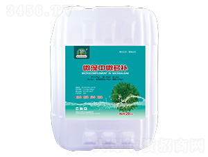 ΢����΢���a(b��)-�����r(n��ng)�I(y��)