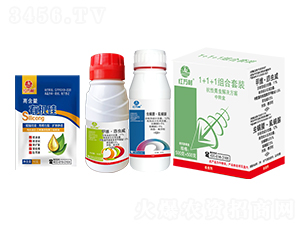 1+1�������x�M�����b-�t�f��-�l(xi��ng)�弾�L-���˹����r(n��ng)��