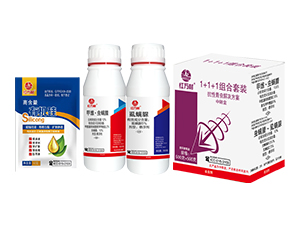 1+1+1�������x�M�����b-�t�f��-�l(xi��ng)�弾�L-���˹����r(n��ng)��