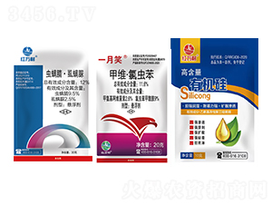 11.6%�׾S�����x��+12%�x���桤ʭ����+�ЙC(j��)������-�t�f(w��n)��-�l(xi��ng)�弾�L(f��ng)-���˹����r(n��ng)��