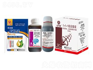 1+1+1�������x�׷�ʭ��Q����-�t�f(w��n)��-�l(xi��ng)�弾�L(f��ng)-���˹����r(n��ng)��