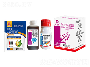 1+1+1�M�����b���������x�׷�ʭ��Q������-�t�f(w��n)��-�l(xi��ng)�弾�L(f��ng)-���˹����r(n��ng)��