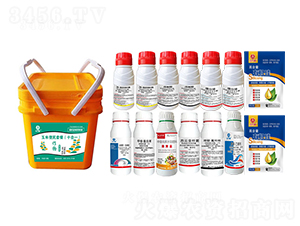 ���ױ����ײͣ�ʮ��һ��-�t�f(w��n)��-�l(xi��ng)�弾�L(f��ng)-���˹����r(n��ng)��