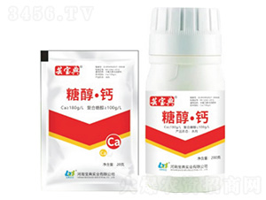 �Ǵ����}-�|����-���䌍�I(y��)