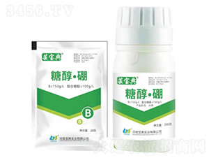 �Ǵ�����-�|����-���䌍�I(y��)