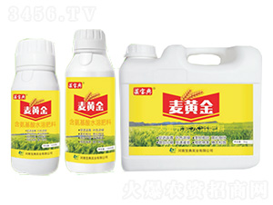 ���S��-�|����-���䌍�I(y��)