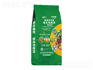 ΢���������40kg��-������}�V-�����S-�����_(d��)����