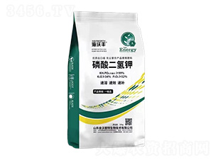 ��������-�����S-�����_����