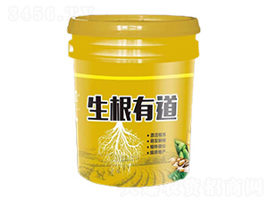 Ͱ�b�_ʩ����-�����е�-�����S-�����_����