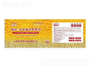 ����+�󶹵��נI�B(y��ng)Һ�����b��-�����S-�����_����