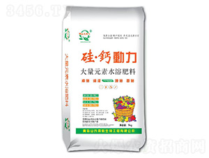 ����Ԫ��ˮ�ܷ���-�衤�}����-�����꺽