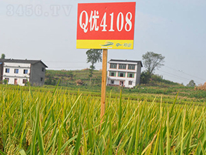 Q��(y��u)4108-ˮ���N��-���r(n��ng)�Ƽ�