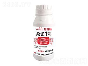 ���������������1̖-�����r��