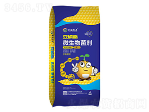 ����֬΢�������-����r(n��ng)�S-���r(n��ng)�ʘI(y��)