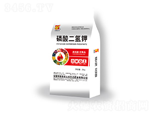 �߼�����������-�x¡���F(tu��n)