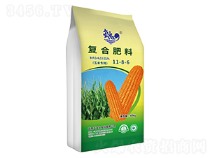 �����Ï�(f��)�Ϸ���11-8-6-��ɳ��