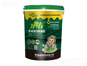 ���ǵ��װ�����-�f(w��n)�ﴺ-����r(n��ng)�ʘI(y��)