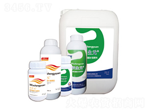 �}�V+΢��Ԫ��-����Ԫ-����r(n��ng)�ʘI(y��)