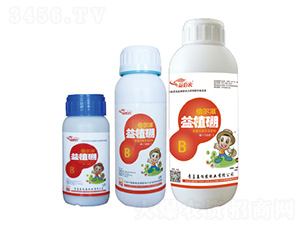 ���w��-��ֲ��-����r(n��ng)�ʘI(y��)