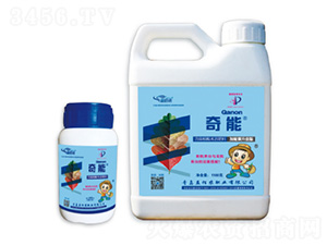 ��Ч���ϑB(t��i)Һ�w����-����-����r(n��ng)�ʘI(y��)