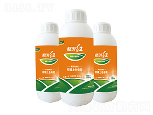 �̽���ɫ�����ЙC(j��)ˮ�ܷ���-����t-����r(n��ng)�ʘI(y��)