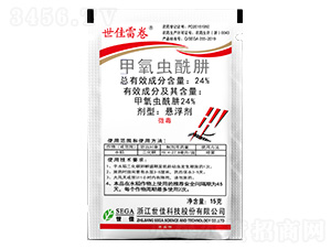 24%�����x����-�����׾�-����