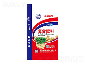 �������(f��)�Ϸ���20-10-10-�����-�ζ�ͥ���ʘI(y��)