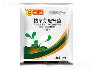 �ݲ�ѿ�ߗU��-��(x��)�м�(x��)-ֲ����