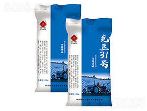 �˶�31̖(h��o)-�󶹷N��-�����r(n��ng)ˇ