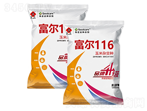 ����116-���׷N��-�����rˇ