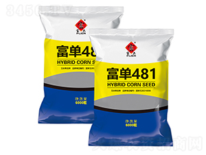 ����481-���׷N��-�����rˇ