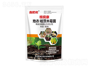 ���¡�����ľù��-������-�η���-��������