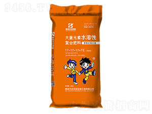 ����Ԫ��ˮ���ԏͺϷ���17-17-17+TE-���u�������