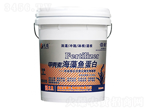 �ך��غ����~����-����-�sҫ�r�I(y��)