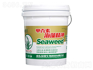 �ך��غ��徫�-����-�sҫ�r�I(y��)