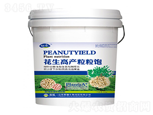 �����߮a�����-����-�sҫ�r�I(y��)