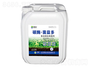 ̼ø�������-ِʩ��-�sҫ�r�I(y��)