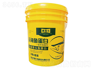 ��~����-ِʩ��-�sҫ�r�I(y��)