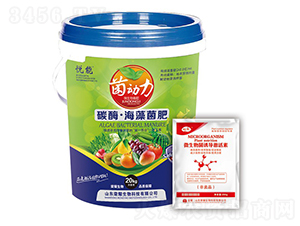 ̼ø���������-������-�sҫ�r�I(y��)