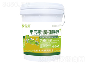 �ך��ء���ֲ���-����-�sҫ�r�I(y��)