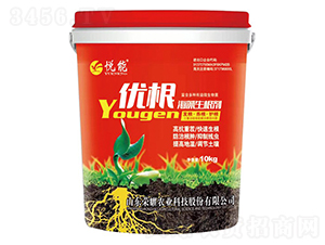 ��(y��u)������������-����-�sҫ�r�I(y��)