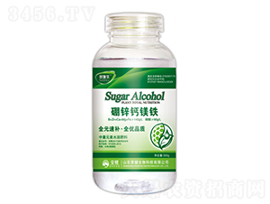 �����}�V�F-ِʩ��(l��)-�sҫ�r(n��ng)�I(y��)