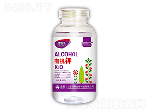 �ЙC(j��)�-ِʩ��-�sҫ�r(n��ng)�I(y��)